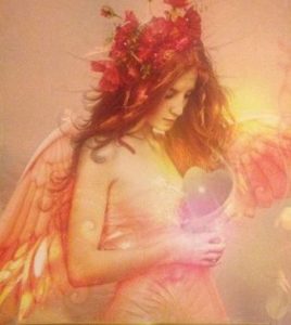 This image has an empty alt attribute; its file name is 8443a8919d5f4c9d2585934b3775e571-268x300.jpg